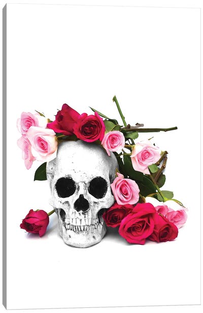 Skull & Pink & Red Roses Black & White Canvas Art Print - Jonathan Brooks