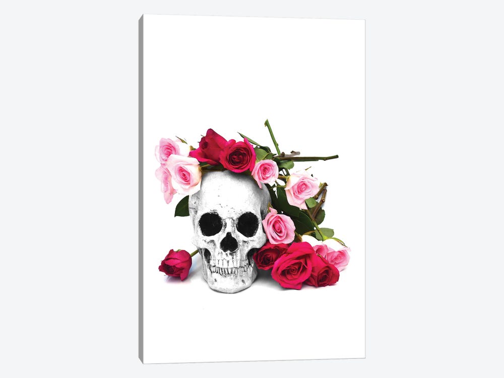 Skull & Pink & Red Roses Black & White by Jonathan Brooks 1-piece Canvas Print