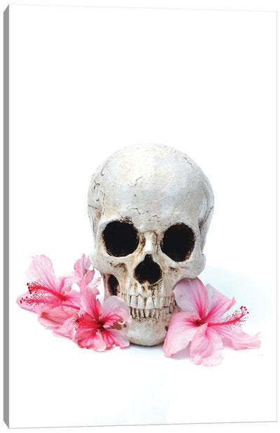 Skull & Pink Hibiscus Canvas Art Print - Jonathan Brooks