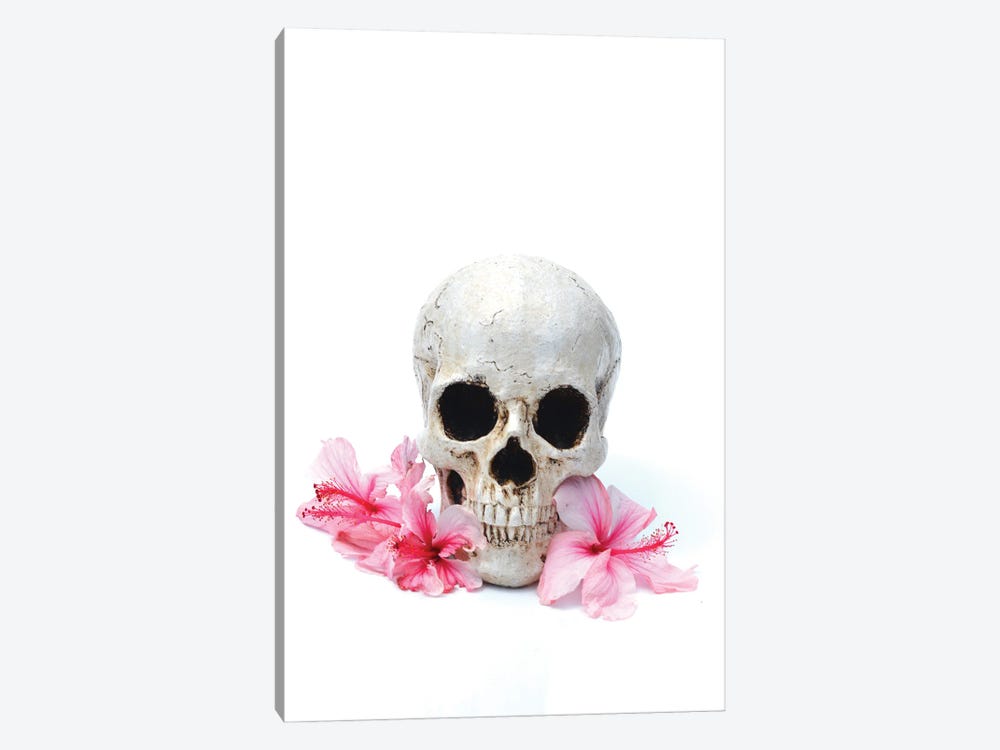 Skull & Pink Hibiscus by Jonathan Brooks 1-piece Canvas Artwork