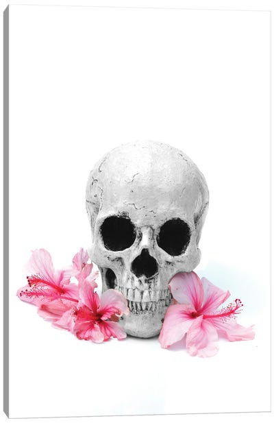 Skull & Pink Hibiscus Black & White Canvas Art Print - Jonathan Brooks