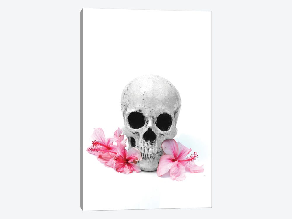 Skull & Pink Hibiscus Black & White by Jonathan Brooks 1-piece Canvas Print