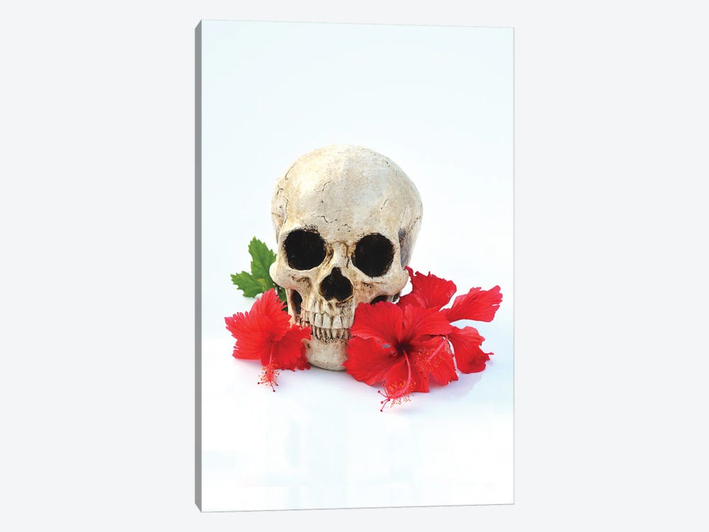 Skull & Red Hibiscus by Jonathan Brooks 1-piece Canvas Artwork