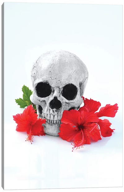 Skull & Red Hibiscus Black & White Canvas Art Print - Jonathan Brooks