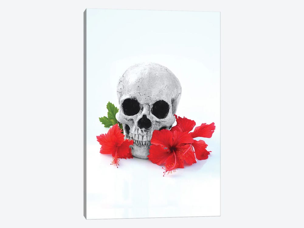 Skull & Red Hibiscus Black & White 1-piece Canvas Print
