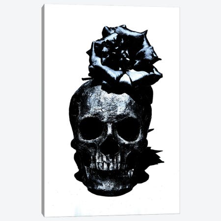 Black & Blue Skull III Canvas Print #JTN10} by Jonathan Brooks Canvas Art Print
