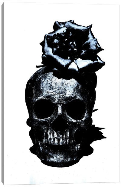 Black & Blue Skull III Canvas Art Print - Jonathan Brooks