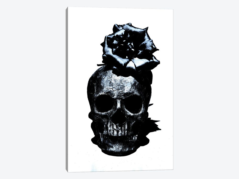 Black & Blue Skull III by Jonathan Brooks 1-piece Canvas Art Print