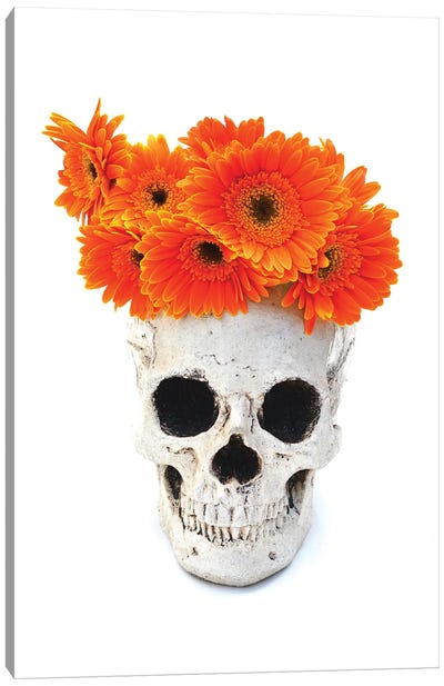 Skull & Orange Flowers Canvas Art Print - Jonathan Brooks
