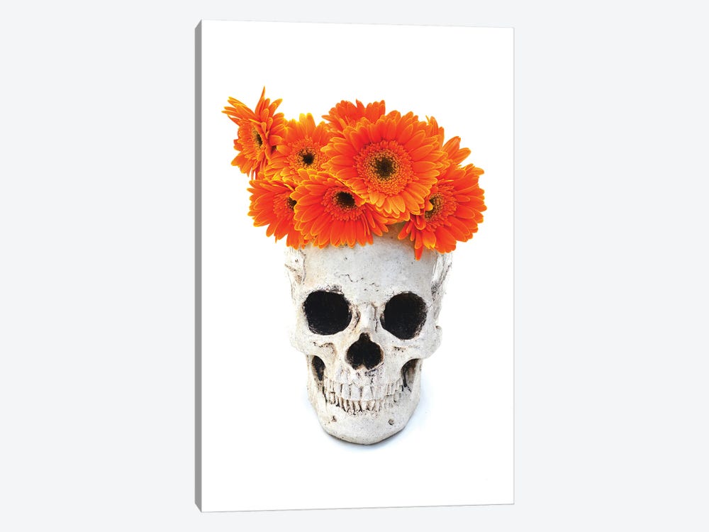 Skull & Orange Flowers by Jonathan Brooks 1-piece Canvas Print
