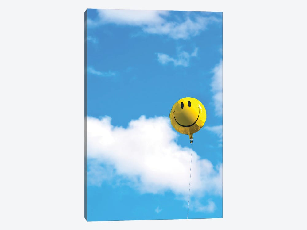 Smile by Jonathan Brooks 1-piece Canvas Wall Art