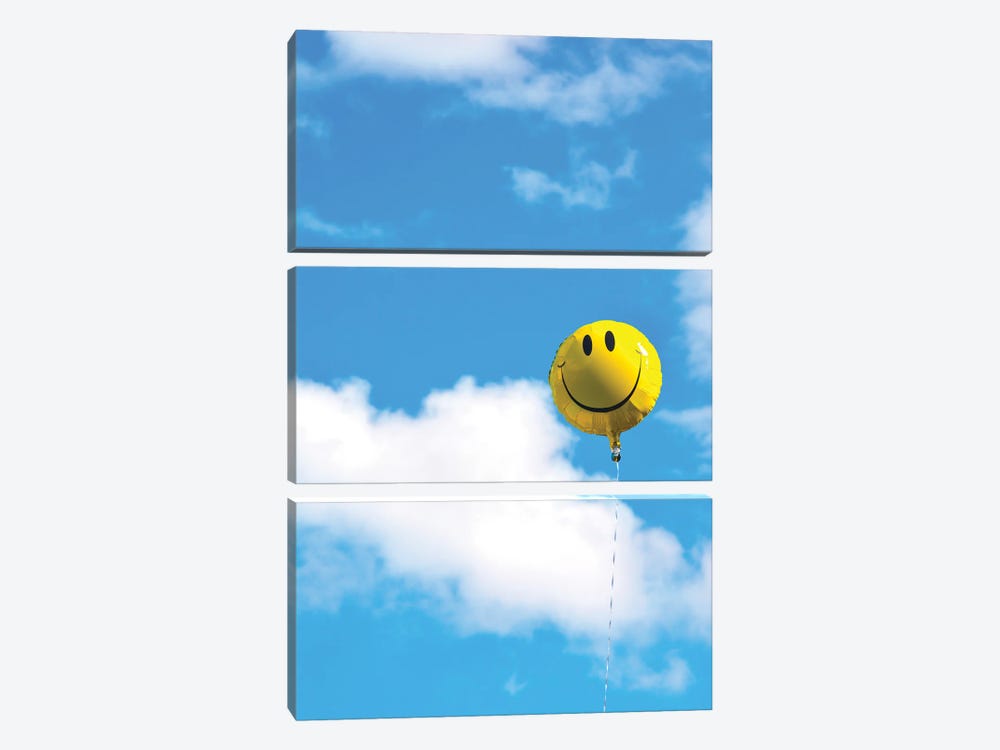 Smile by Jonathan Brooks 3-piece Canvas Wall Art