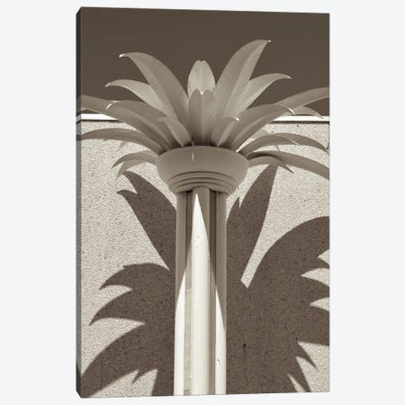 Deco Palm Canvas Print #JTN136} by Jonathan Brooks Canvas Print