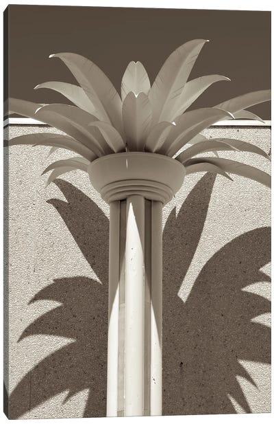 Deco Palm Canvas Art Print - Jonathan Brooks