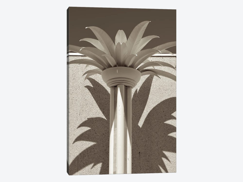 Deco Palm by Jonathan Brooks 1-piece Canvas Art Print