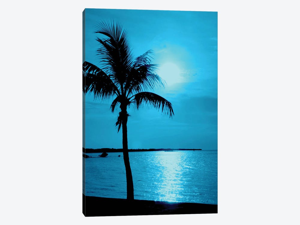 Blue Sunset III by Jonathan Brooks 1-piece Art Print