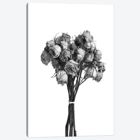 Dried Roses Black & White Canvas Print #JTN16} by Jonathan Brooks Canvas Artwork