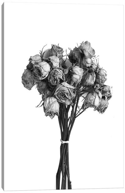 Dried Roses Black & White Canvas Art Print - Jonathan Brooks