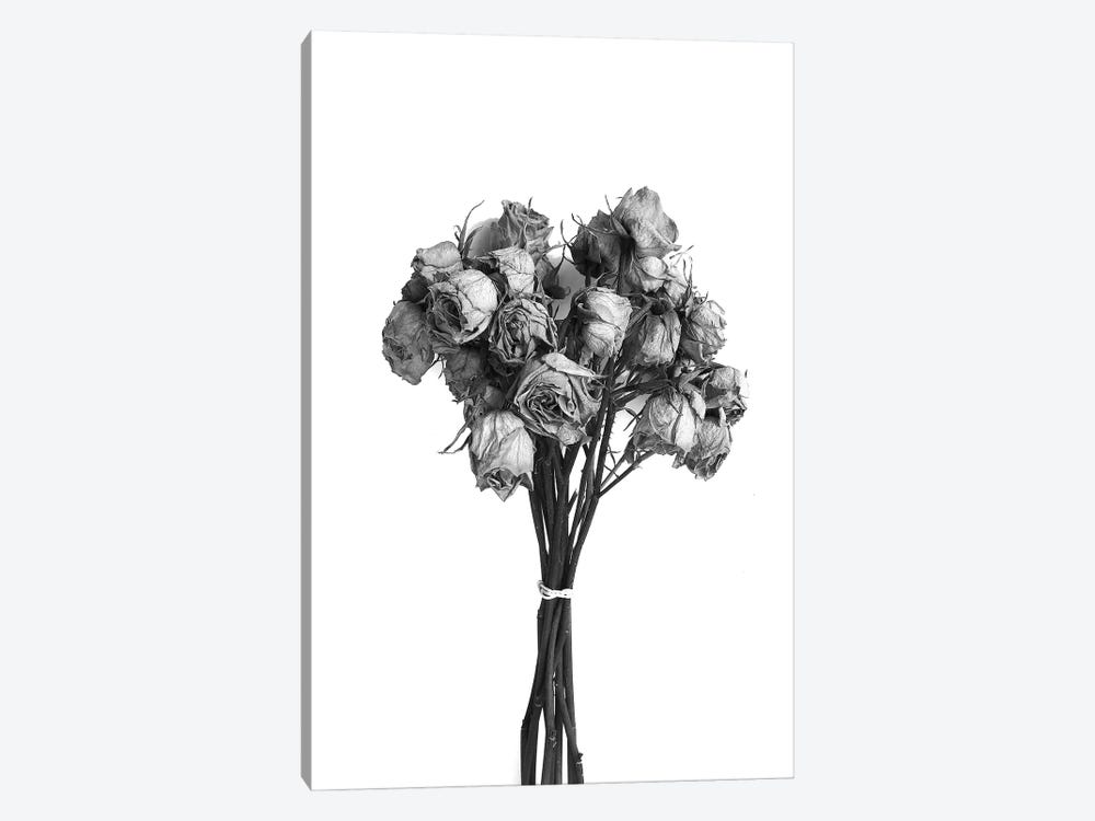 Dried Roses Black & White by Jonathan Brooks 1-piece Canvas Art Print