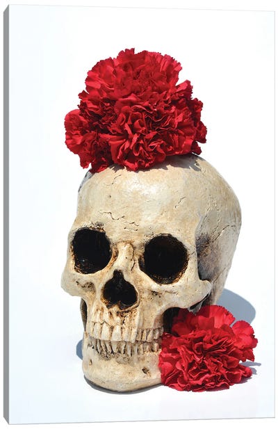 Skull & Carnations Canvas Art Print - Carnation Art