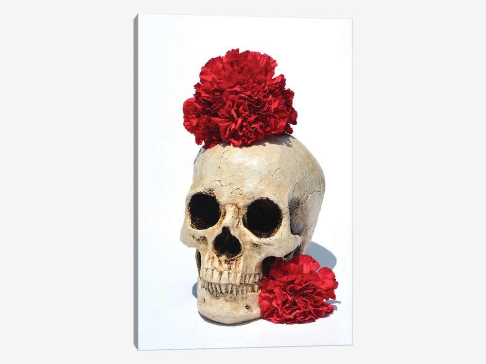 Skull & Carnations by Jonathan Brooks 1-piece Canvas Artwork