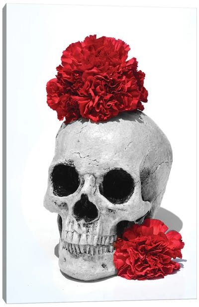 Skull & Carnations Black & White Canvas Art Print - Carnation Art