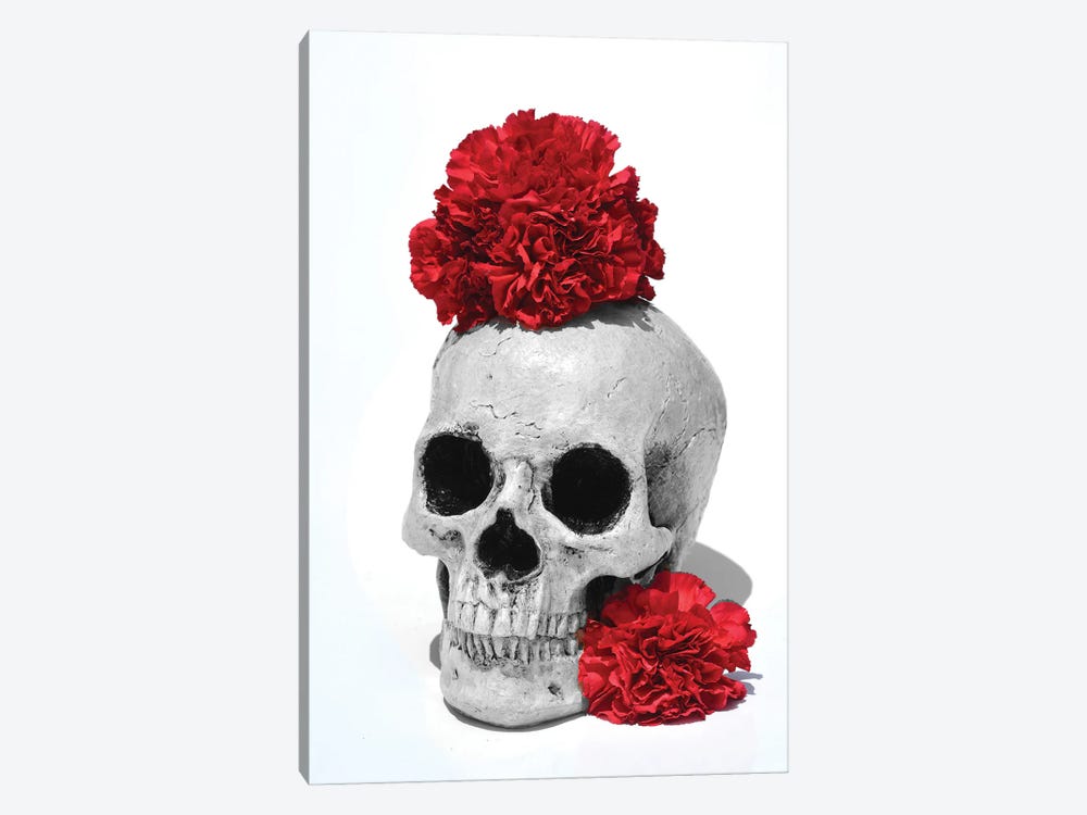 Skull & Carnations Black & White by Jonathan Brooks 1-piece Art Print