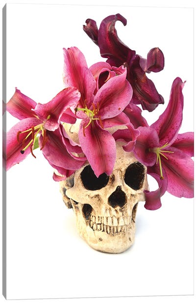 Skull & Lilies Canvas Art Print - Lily Art