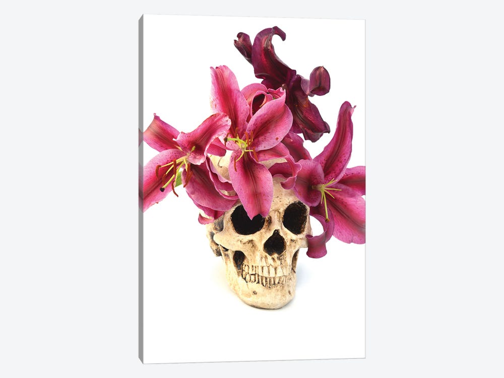 Skull & Lilies by Jonathan Brooks 1-piece Canvas Wall Art
