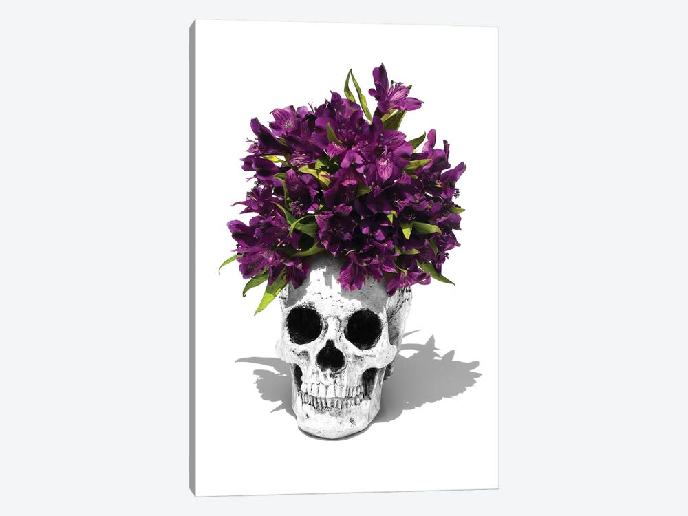 Skull & Lilies Black & White by Jonathan Brooks 1-piece Canvas Art