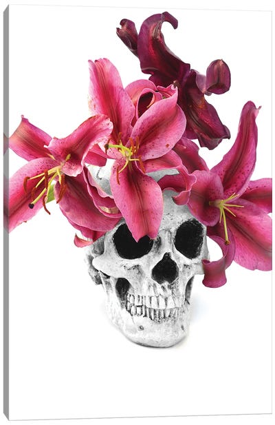 Skull & Lilies Black & White Canvas Art Print - Jonathan Brooks