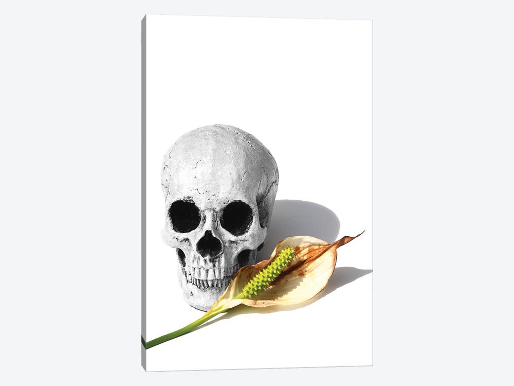 Skull & Peace Lily Black & White by Jonathan Brooks 1-piece Canvas Art Print