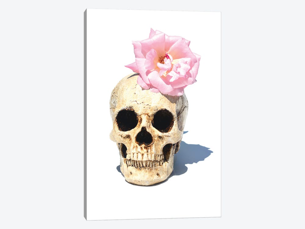 Skull & Pink Rose by Jonathan Brooks 1-piece Canvas Artwork