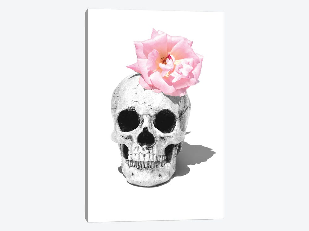 Skull & Pink Rose Black & White by Jonathan Brooks 1-piece Canvas Art Print