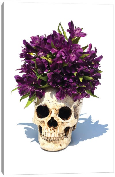 Skull & Purple Lilies Canvas Art Print - Lily Art