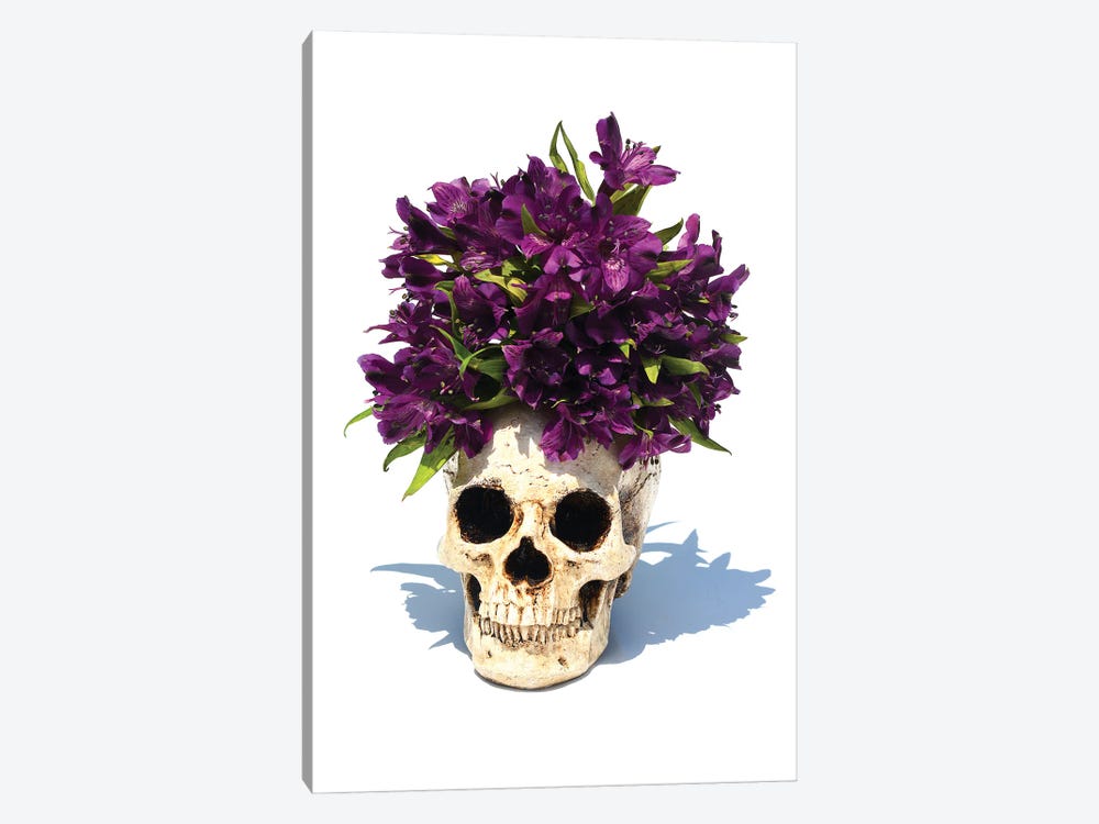 Skull & Purple Lilies by Jonathan Brooks 1-piece Canvas Art