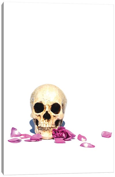Skull & Purple Rose Canvas Art Print - Jonathan Brooks