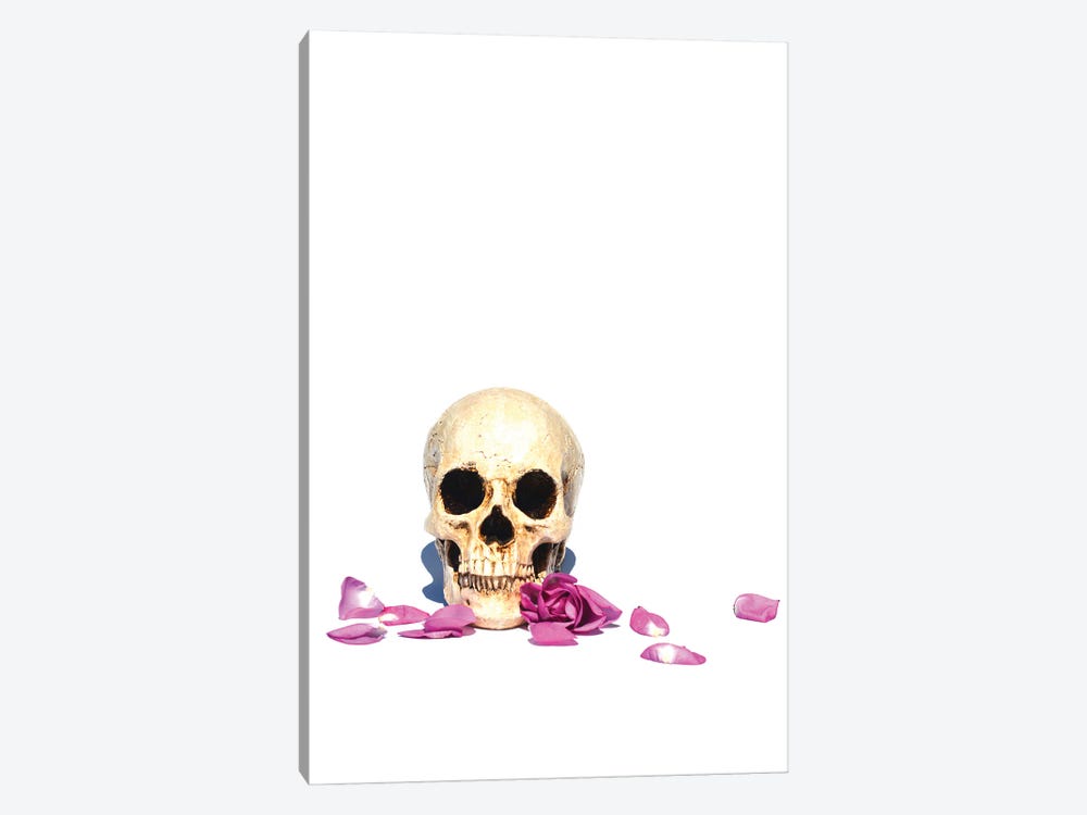 Skull & Purple Rose by Jonathan Brooks 1-piece Canvas Print