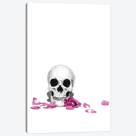 Skull & Purple Rose Black & White Canvas Print #JTN50} by Jonathan Brooks Canvas Print
