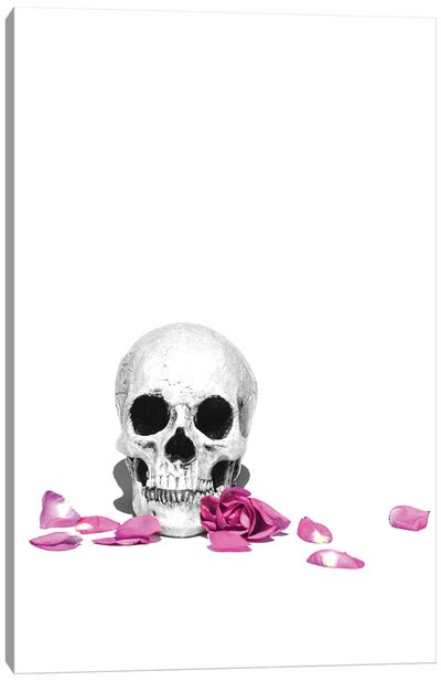 Skull & Purple Rose Black & White Canvas Art Print - Jonathan Brooks