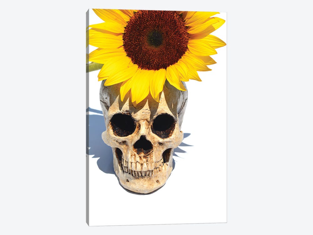 Skull & Sunflower by Jonathan Brooks 1-piece Canvas Wall Art