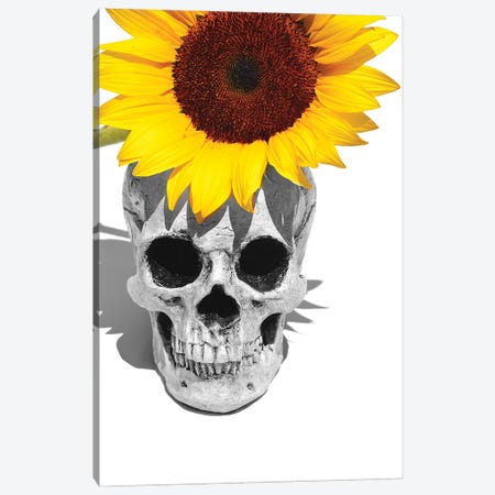 Skull & Sunflower Black & White Canvas Print #JTN52} by Jonathan Brooks Canvas Art Print