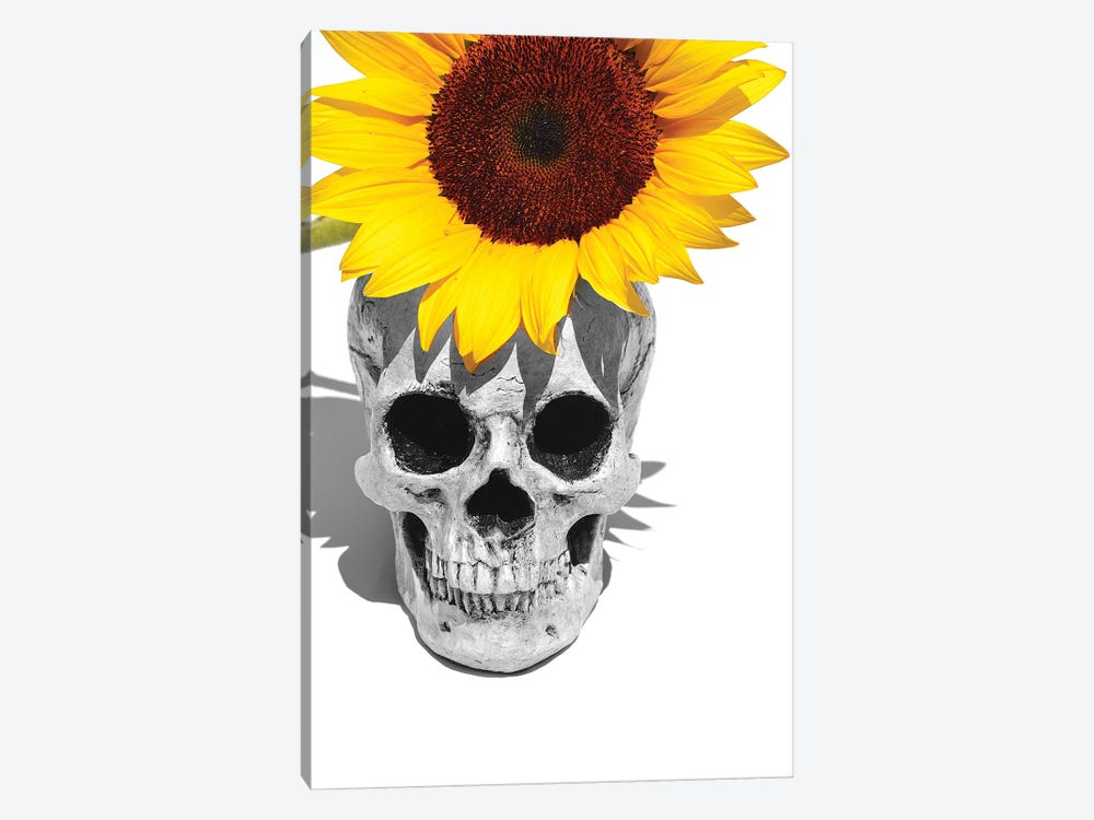 Skull & Sunflower Black & White by Jonathan Brooks 1-piece Art Print