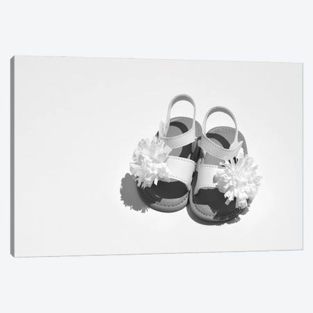 Baby Girl Sandals Black & White Canvas Print #JTN5} by Jonathan Brooks Canvas Wall Art