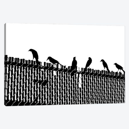 Bird Fence Canvas Print #JTN6} by Jonathan Brooks Canvas Artwork