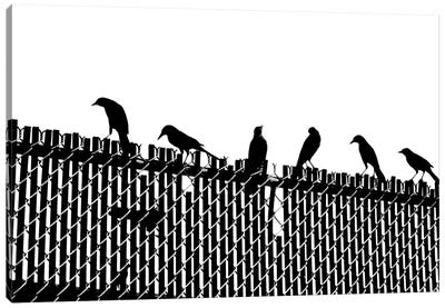 Bird Fence Canvas Art Print - Jonathan Brooks