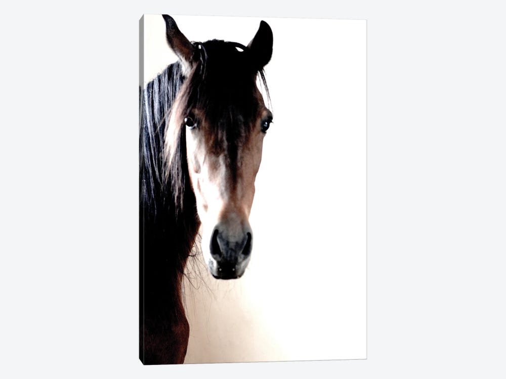 In The Stable by Jonathan Brooks 1-piece Canvas Art Print