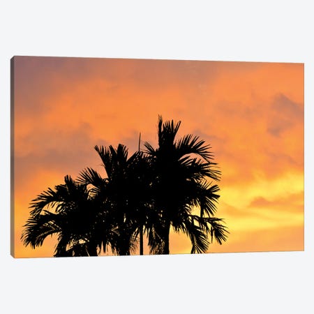 Heading For The Golden Hour Canvas Print #JTN77} by Jonathan Brooks Canvas Art