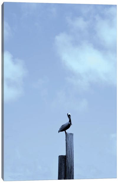 Pelican Posts Canvas Art Print - Jordy Blue