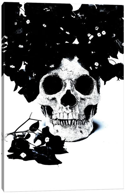 Black & Blue Skull I Canvas Art Print - Jonathan Brooks